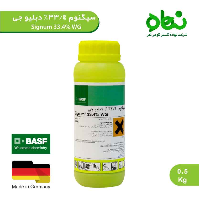 سیگنوم 33.4 درصد دبلیو جی